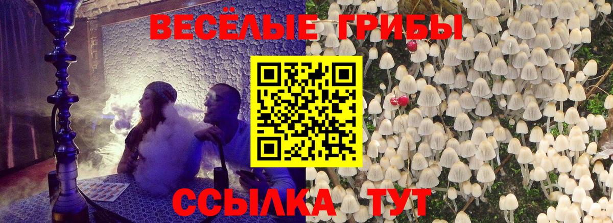 Псилоцибиновые грибы мицелий  Вход с VPN  Энгельс  Галлюциногенные грибы Psilocybine cubensis 
