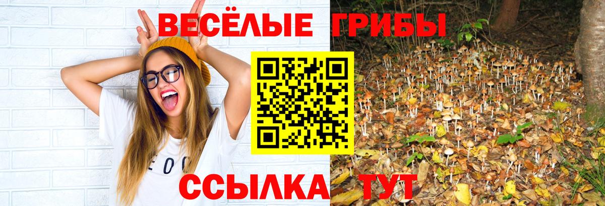 Галлюциногенные грибы Magic Shrooms Энгельс
